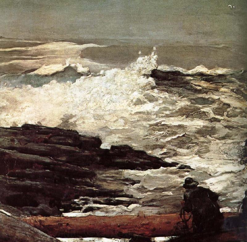 Winslow Homer Driftwood Spain oil painting art